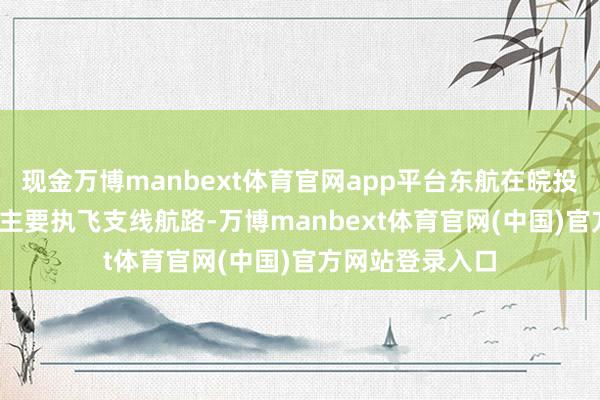 现金万博manbext体育官网app平台东航在皖投放的C909机型主要执飞支线航路-万博manbext体育官网(中国)官方网站登录入口