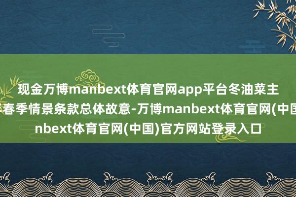现金万博manbext体育官网app平台冬油菜主产区前年冬天和本年春季情景条款总体故意-万博manbext体育官网(中国)官方网站登录入口