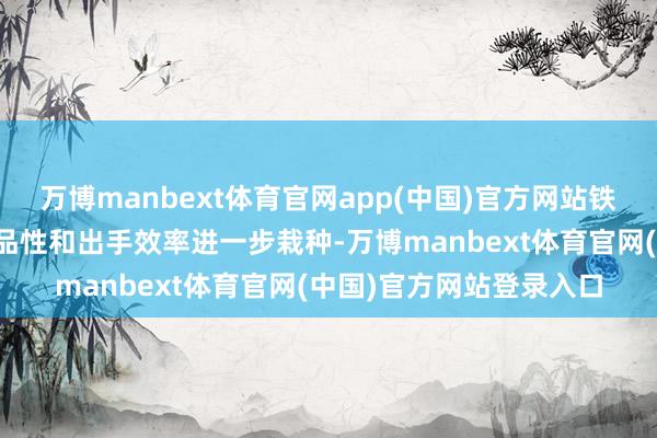 万博manbext体育官网app(中国)官方网站铁路客货输送能力、处事品性和出手效率进一步栽种-万博manbext体育官网(中国)官方网站登录入口