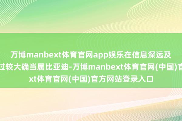 万博manbext体育官网app娱乐在信息深远及治理结构方面越过较大确当属比亚迪-万博manbext体育官网(中国)官方网站登录入口