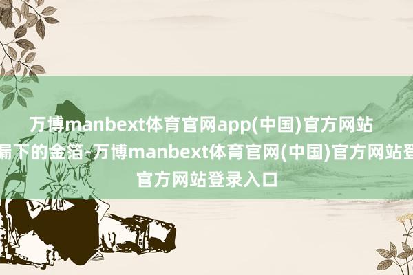 万博manbext体育官网app(中国)官方网站 网眼里漏下的金箔-万博manbext体育官网(中国)官方网站登录入口